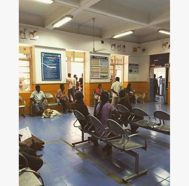 13321080_10201612239784897_2043653934_o