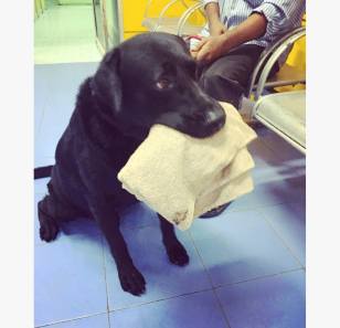 13483076_10201662596603786_4825287788073932784_o