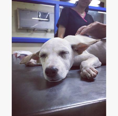 13499516_10201687489946104_1002606665_o