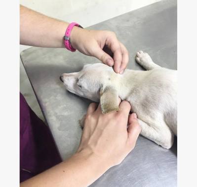 13518250_10201687490186110_1294570376_o