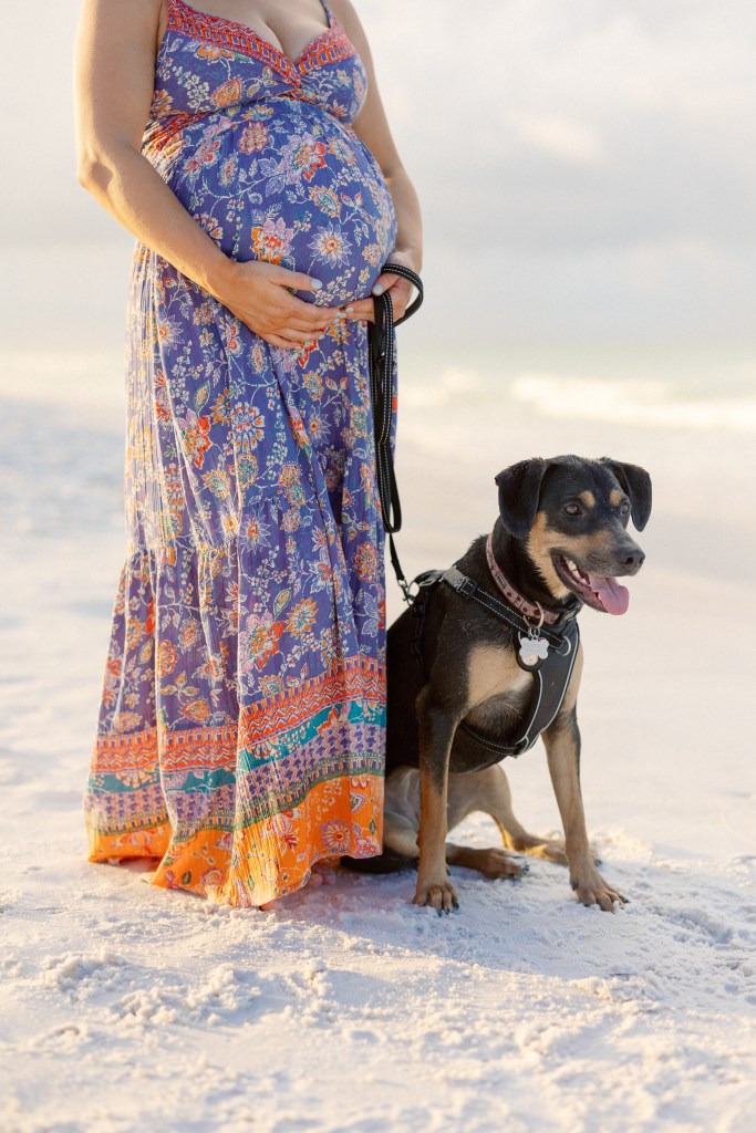 Hemingway & Herriot Veterinarian, AtlantaBased Mom & ShowerBased Entertainer